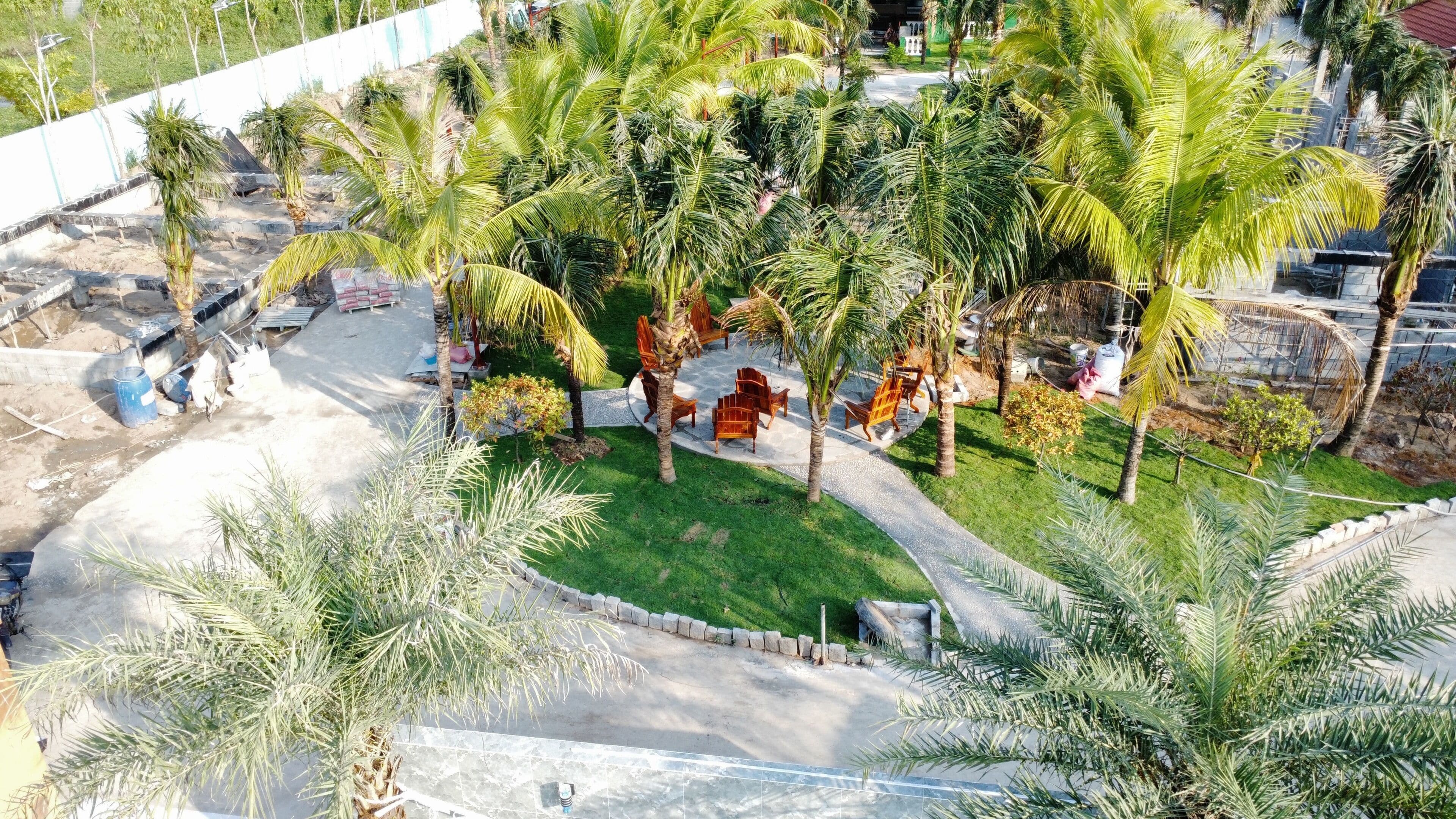 Un espacio exterior ajardinado con palmeras, un sendero pavimentado y sillas de madera.