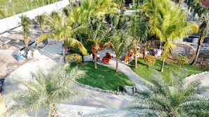 A landscaped outdoor area with palm trees, a paved walkway, and wooden chairs.