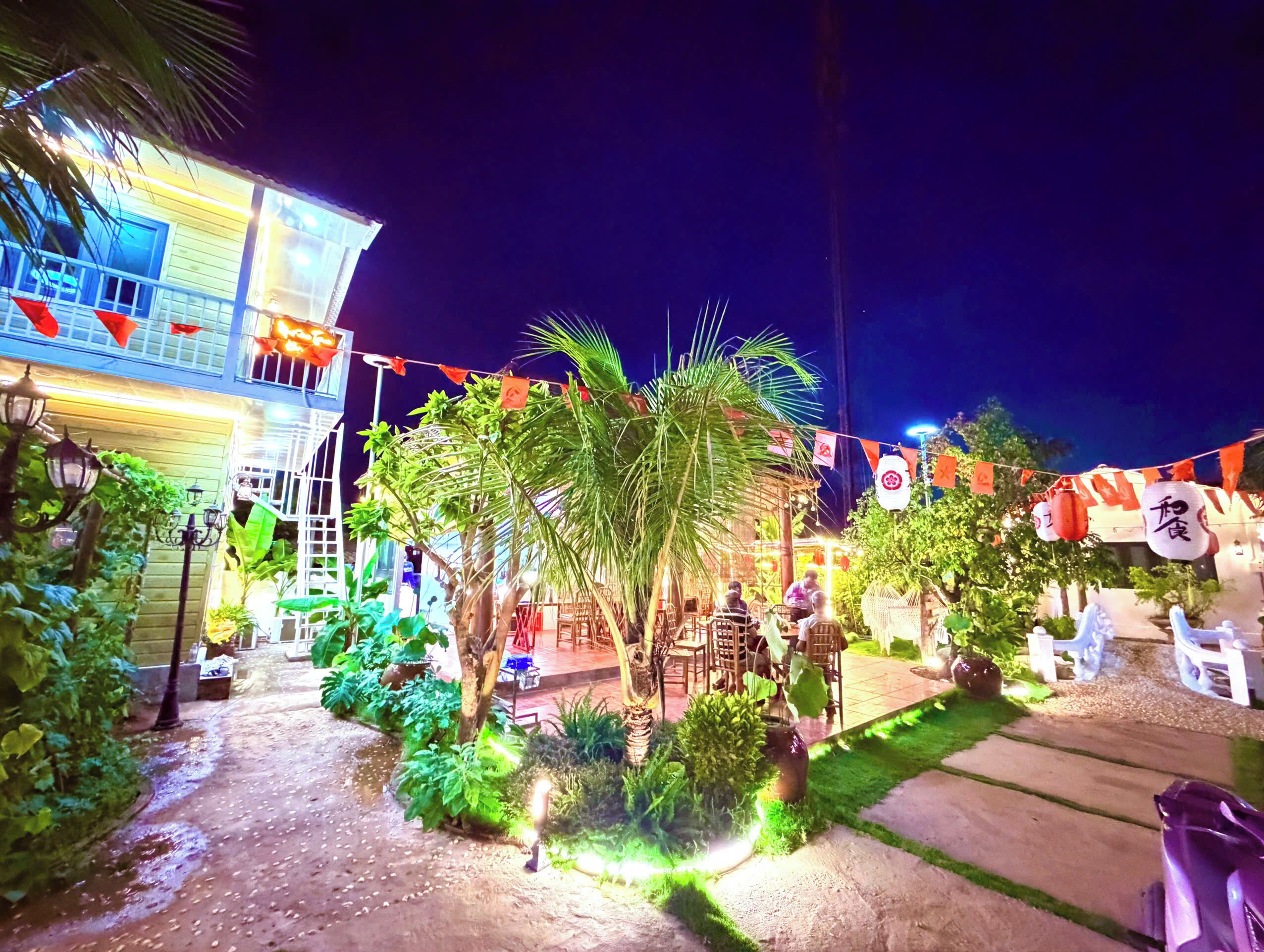 An outdoor area with a building, palm trees, and string lights.