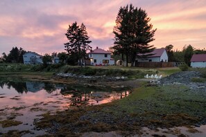 Property grounds - Waterfront Maine Home - Hot Tub - Sauna + Kayaks (Sullivan)