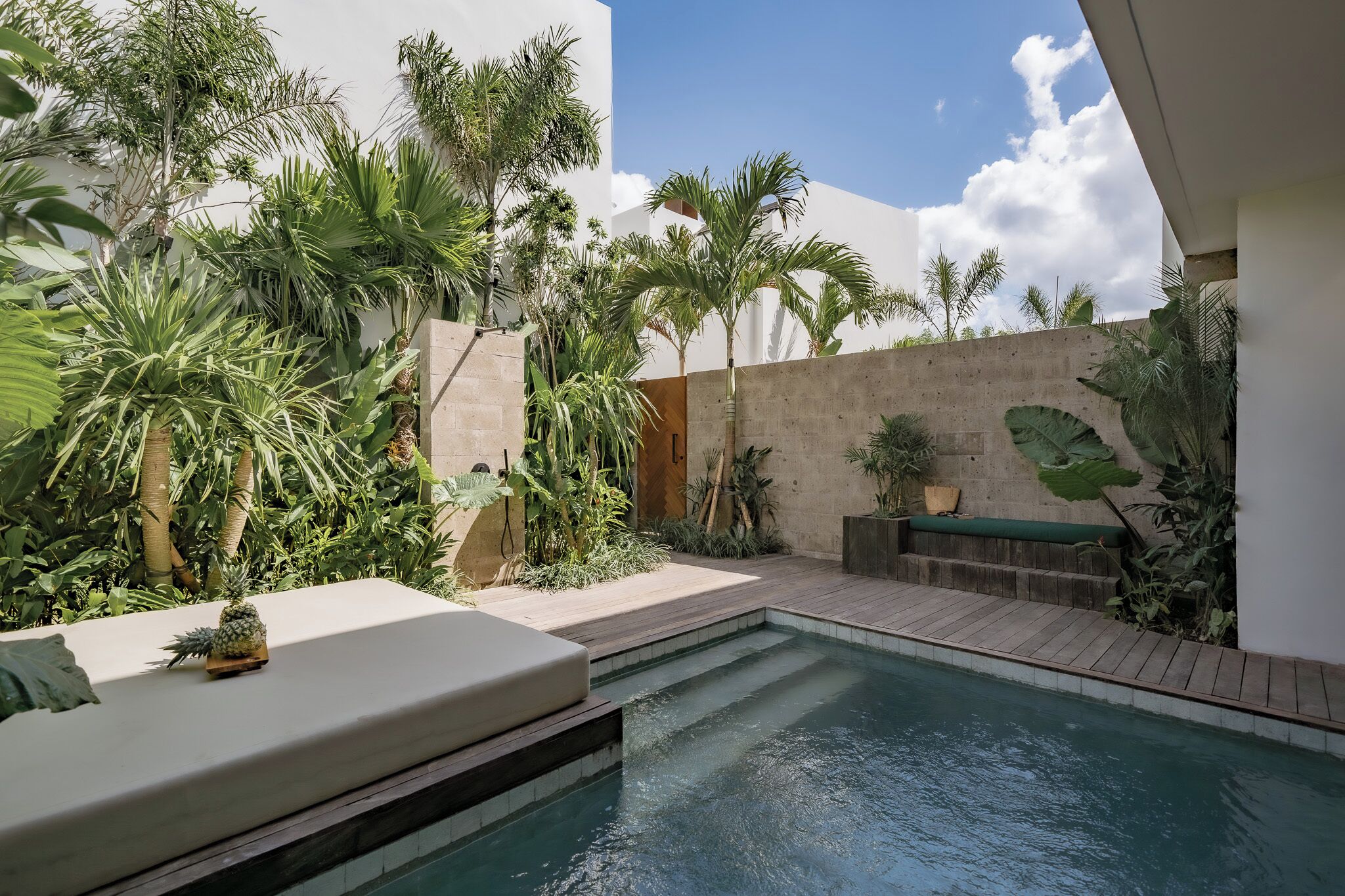 Un espace piscine doté d’une terrasse en bois, entouré de plantes tropicales et bordé d’un mur en béton.