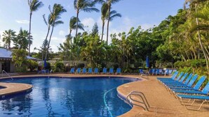 A swimming pool with blue water, surrounded by palm trees and blue lounge chairs.