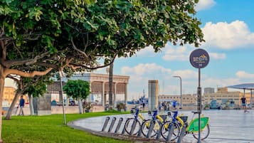 Un parque con una estación de alquiler de bicicletas, un árbol grande y un edificio al fondo.