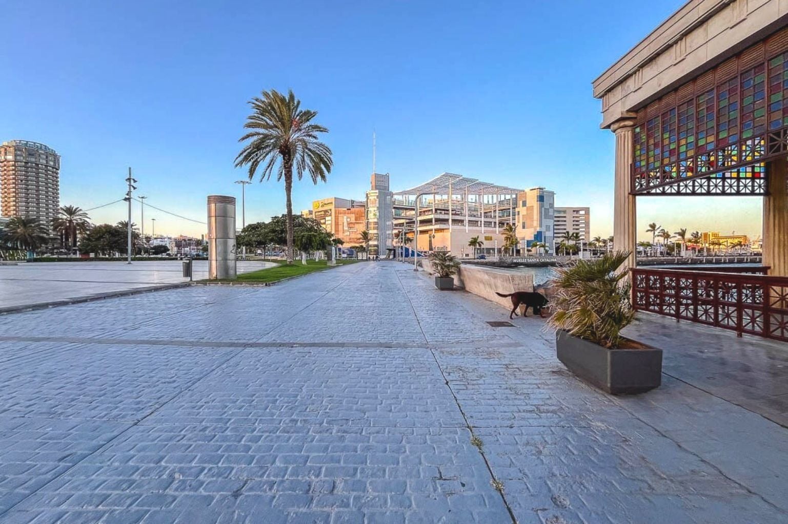 Une promenade dallée bordée de palmiers, un bâtiment moderne et une vue sur le front de mer.