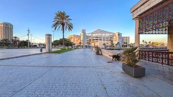 Une promenade dallée bordée de palmiers, un bâtiment moderne et une vue sur le front de mer.