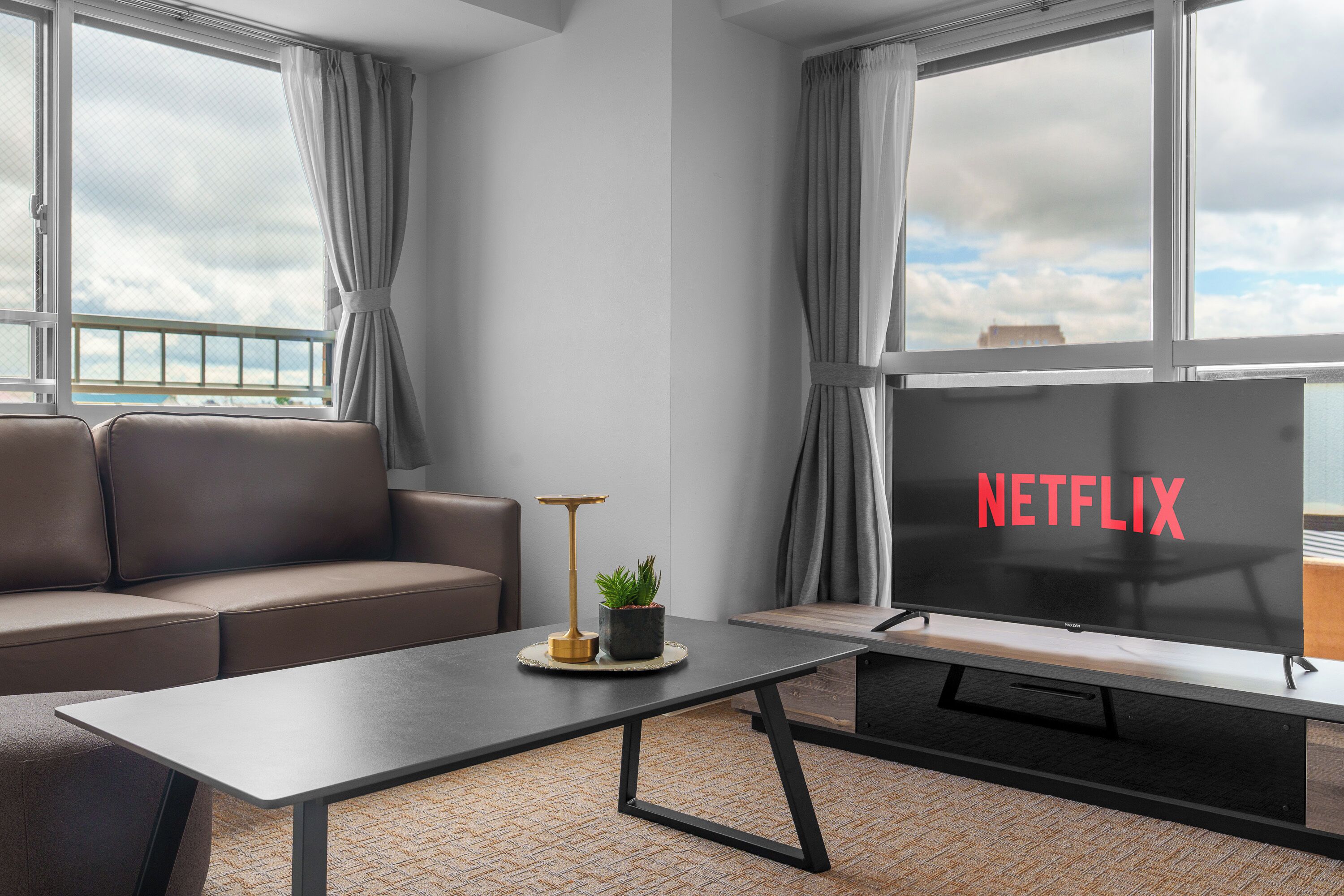 Un saló modern amb un sofà, una taula de centre amb una planta i un televisor que mostra 'NETFLIX'.