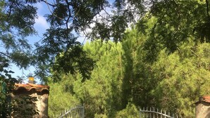 A gated entrance with a metal gate, surrounded by trees and a clear sky.