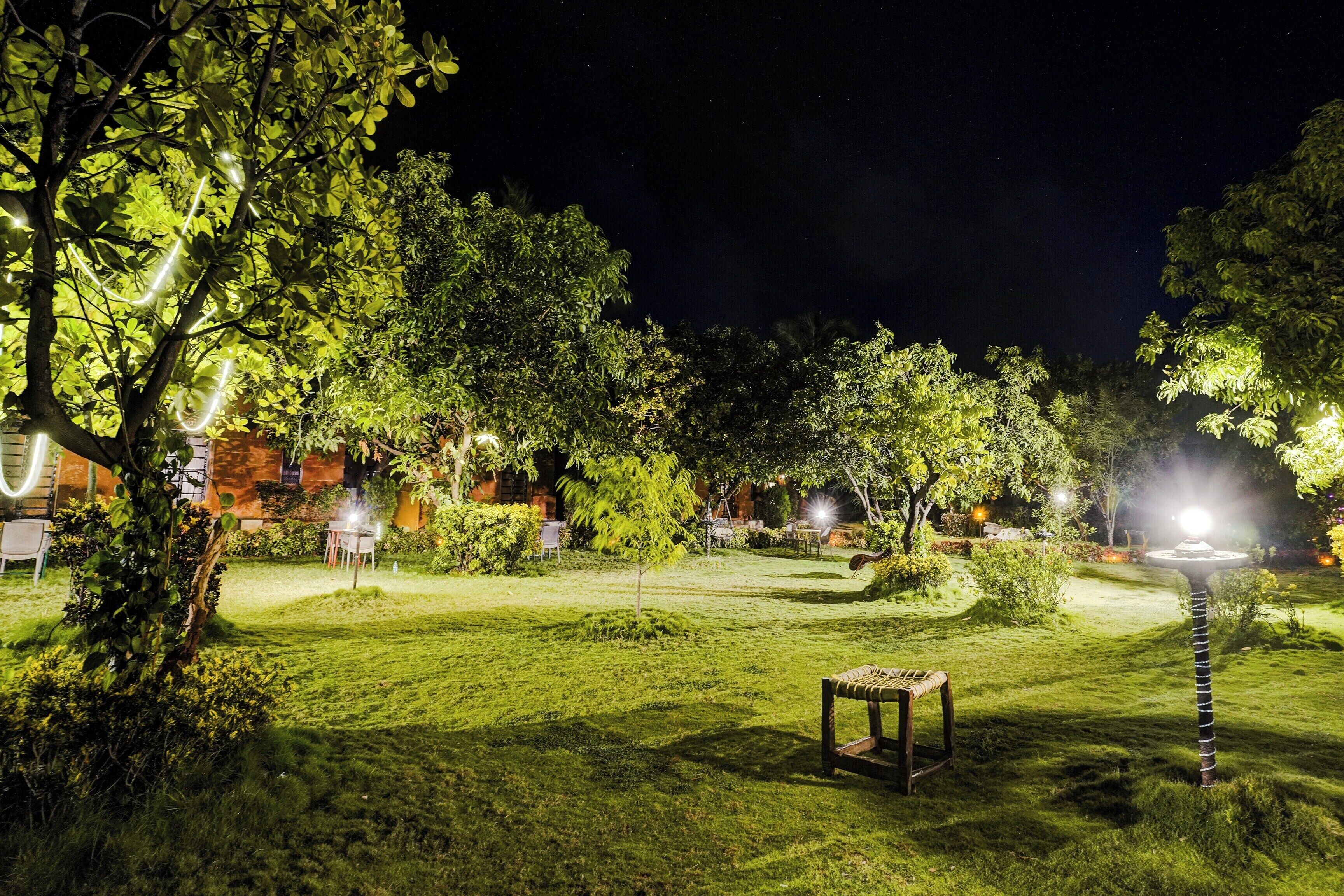 Un espace extérieur aménagé pour la nuit, avec une pelouse, un banc en bois et des arbres.