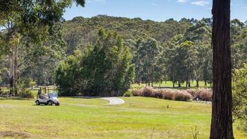 Ein Golfplatz mit Golfwagen, einem gewundenen Weg und einem bewaldeten Hügel im Hintergrund.
