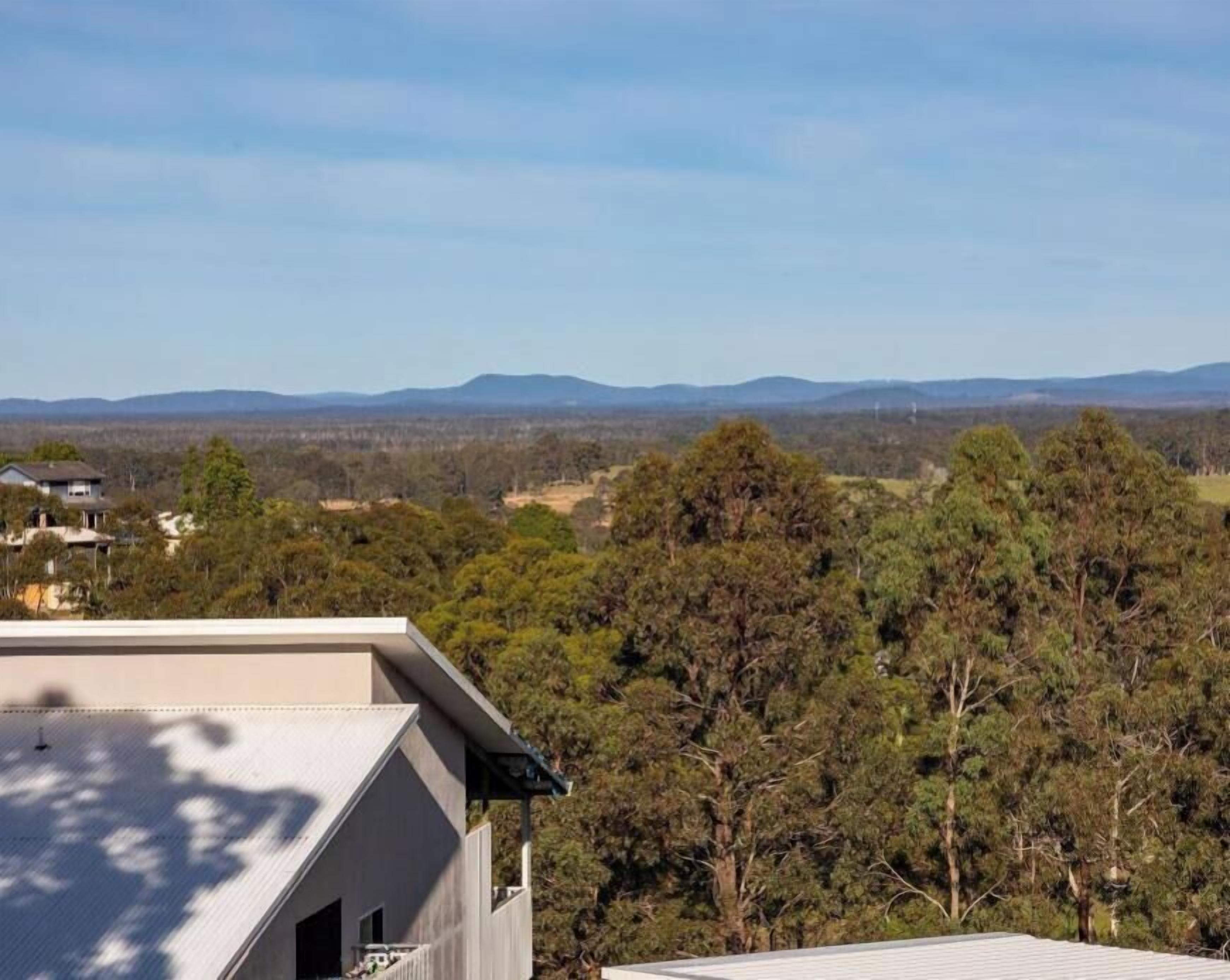 A residential area with a house and dense forest in the background.