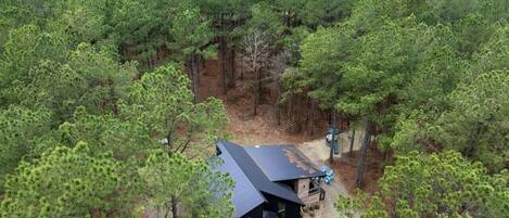 Une cabane entourée d’une forêt dense, avec un chemin de gravier menant à celle-ci.
