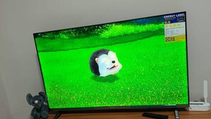A television on a wooden stand with a remote control, a small toy elephant, and a checkered box.