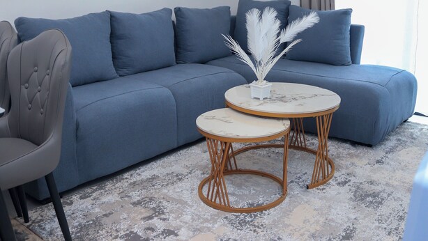 Ein modernes Wohnzimmer mit einem grauen Sofa, zwei runden Tischen mit Marmorplatte und einer Zierpflanze.