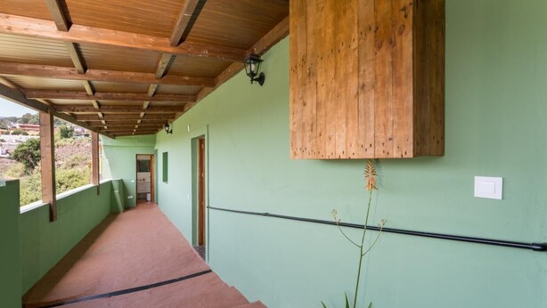 Un couloir avec un plafond en bois, un mur vert et une plante en pot.