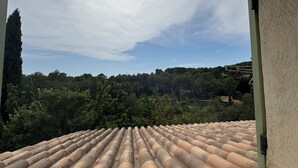 Una azotea con tejas de terracota, rodeada de vegetación y un cielo despejado.