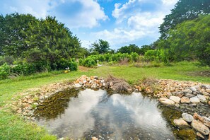 Eine natürliche Landschaft mit einem kleinen Bach, umgeben von viel Grün und Bäumen.