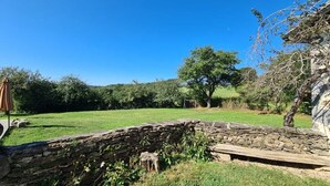 A stone wall, a grassy field, and a tree. - Large Auvergne-style house with a pool, pétanque court, and bread oven (Saint-Martin-Cantalès)