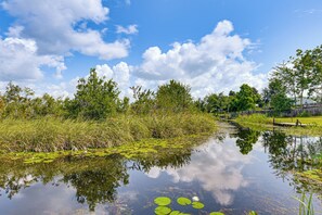 A calm water body with lily pads and surrounding greenery. - On Deer Point Lake! Home w/ Private Dock & Hot Tub (Youngstown)