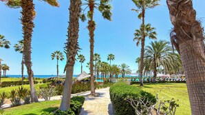 Un sendero bordeado de palmeras que lleva a una zona de piscina con vistas al mar.
