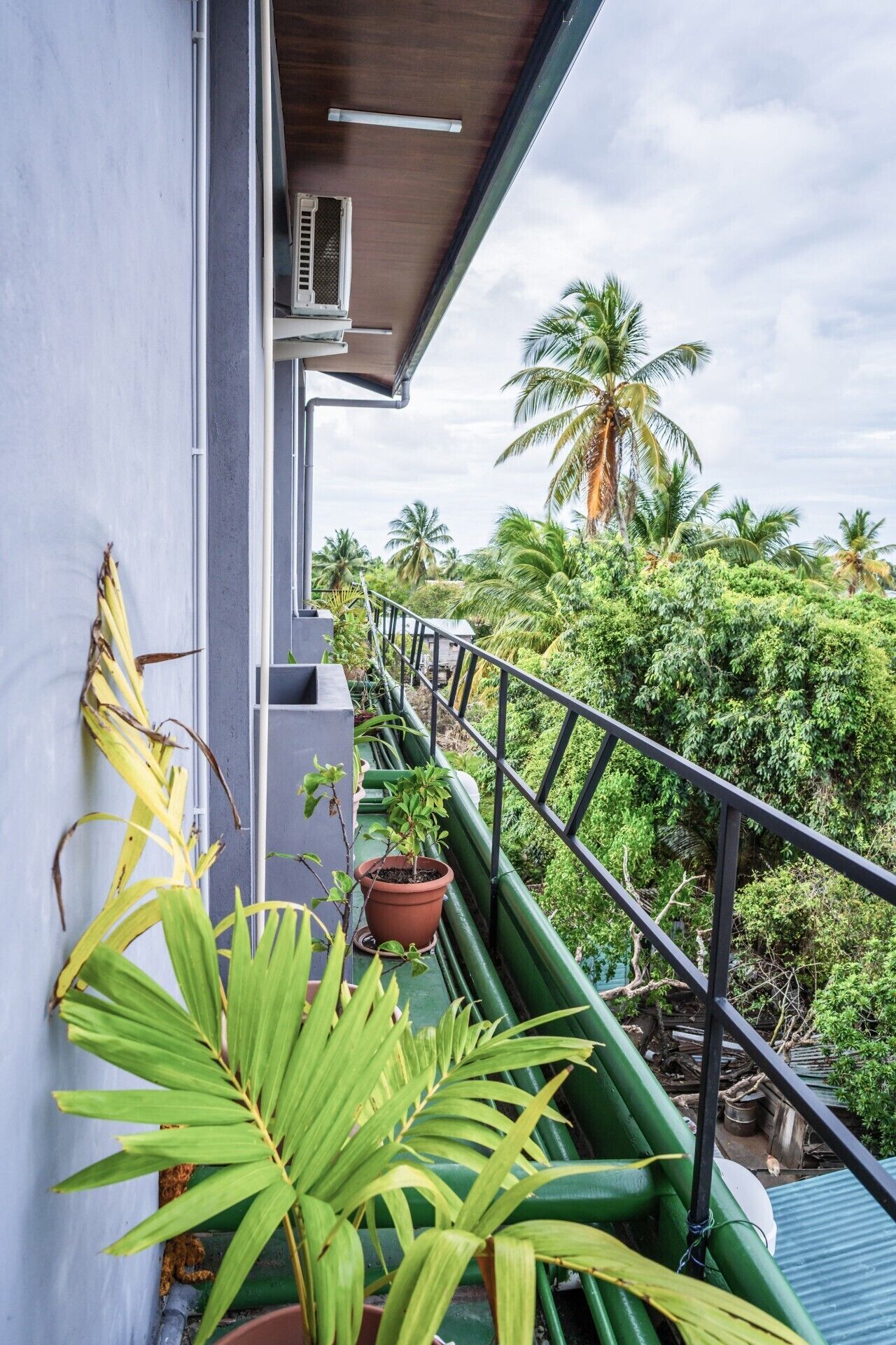 Ein Balkon mit Topfpflanzen, einem Metallgeländer und Blick auf Palmen.