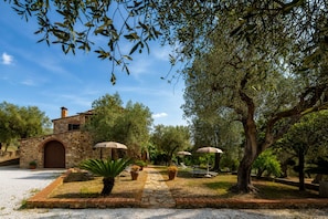 A stone building with a brown door, surrounded by olive trees and a gravel path. - Casale delle Lupe by Geco Vacation Rentals (Campiglia Marittima)
