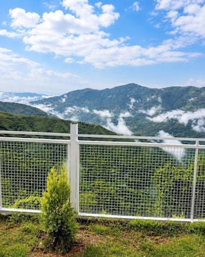 Property grounds - The Serene Resort (Chakrata)
