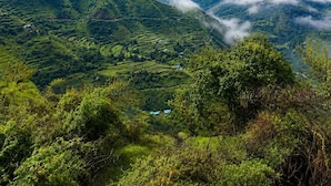 Unclassified image, 5 of 23, button - The Serene Resort (Chakrata)