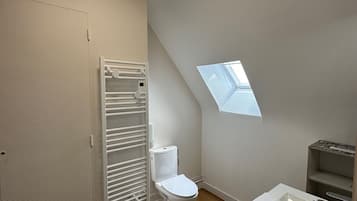 A bathroom with a toilet, a shower, a sink, and a skylight.