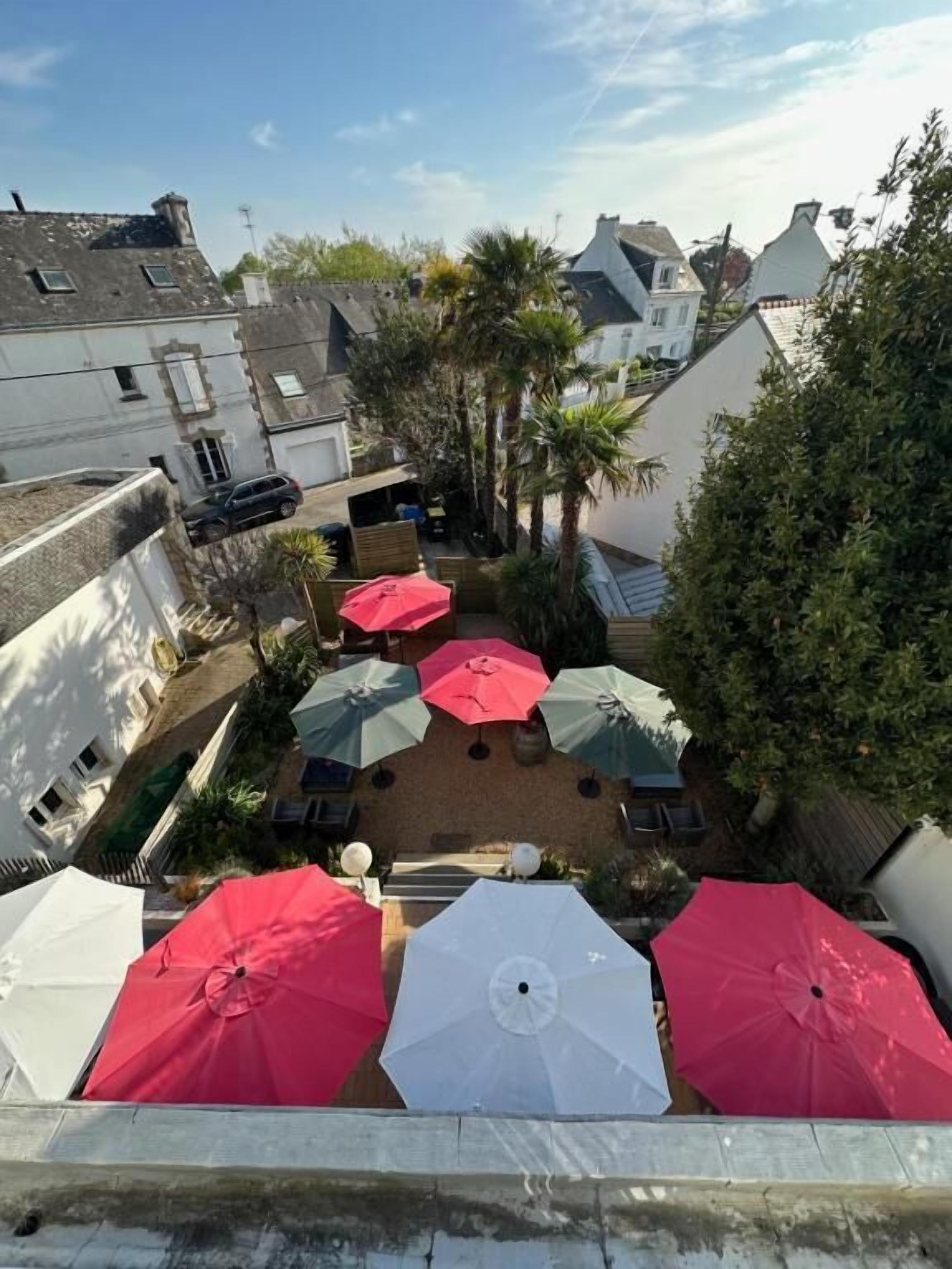 A courtyard with umbrellas, a palm tree, and buildings in the background.