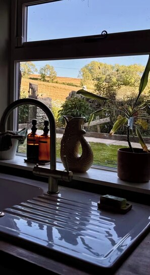 Ein Küchenfenster mit Blick auf einen Garten, eine Spüle, eine Seifenspender und eine Vase.
