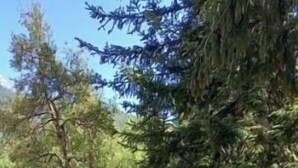 Property grounds - A quiet and spacious country-style group lodging with a pool, (Ubaye-Serre-Ponçon)