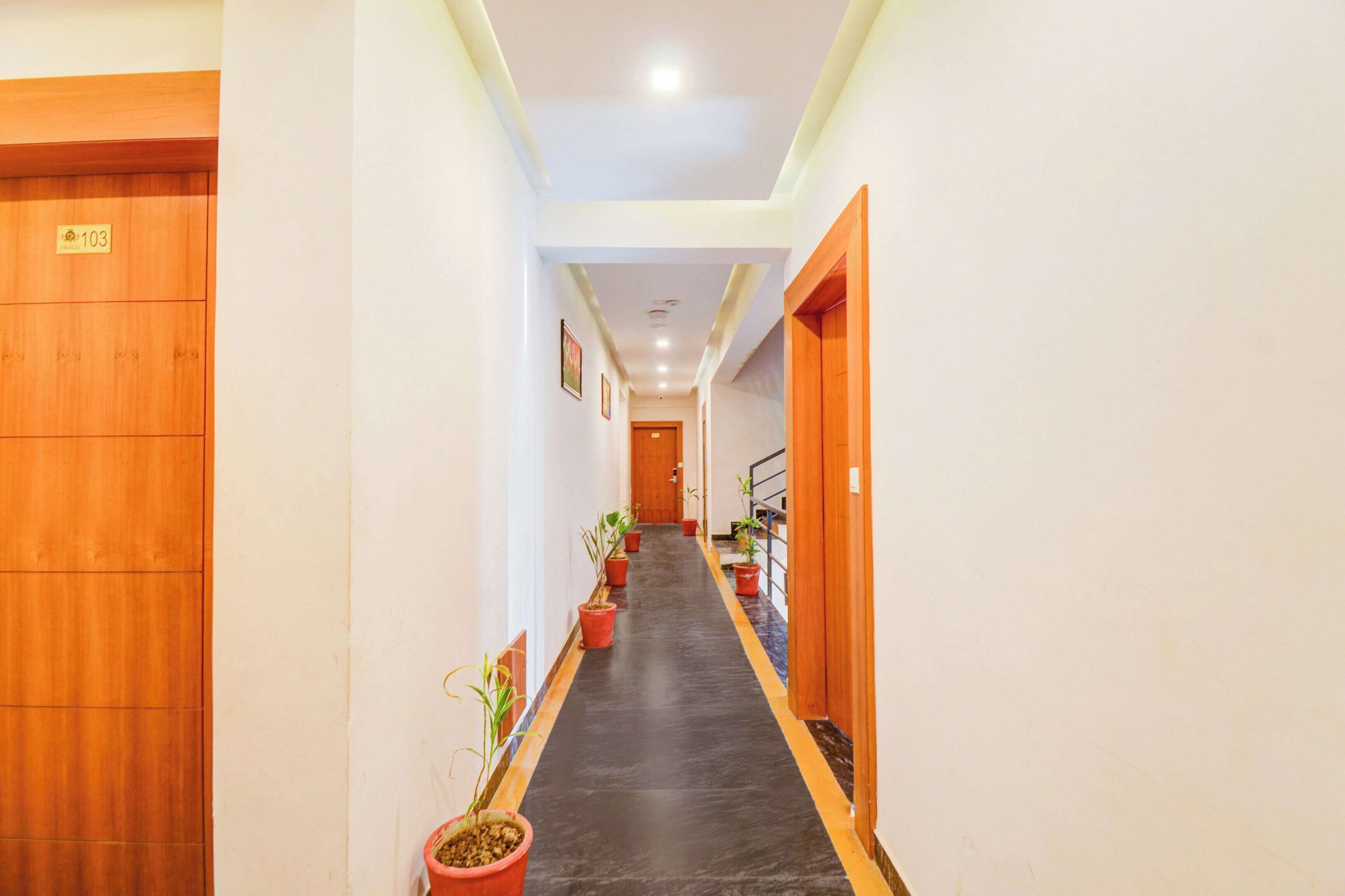 A hotel corridor with wooden doors, potted plants, and a black floor.