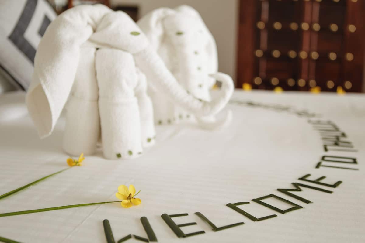 Wifi gratis y ropa de cama