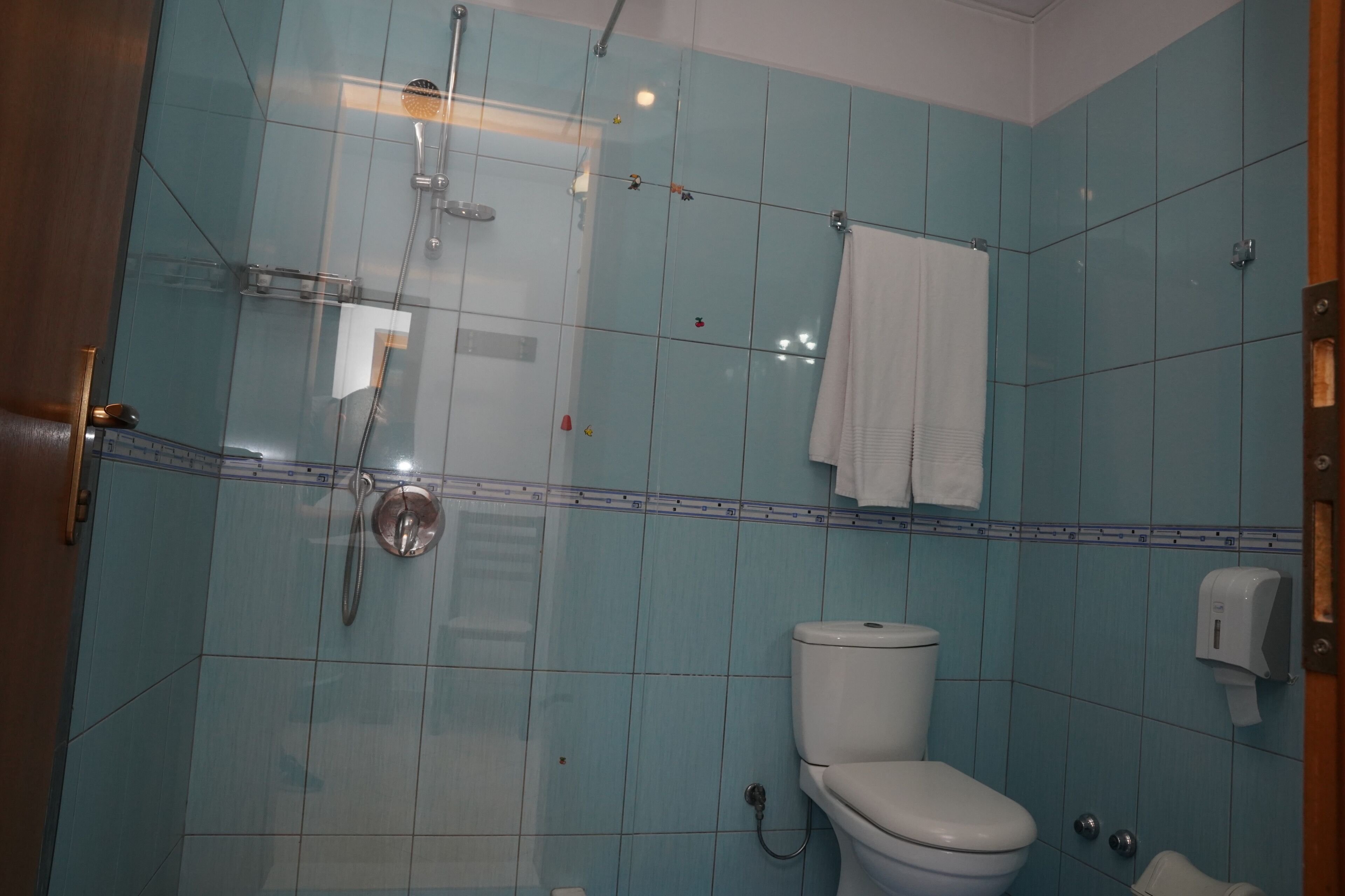 Shower, towels, toilet paper