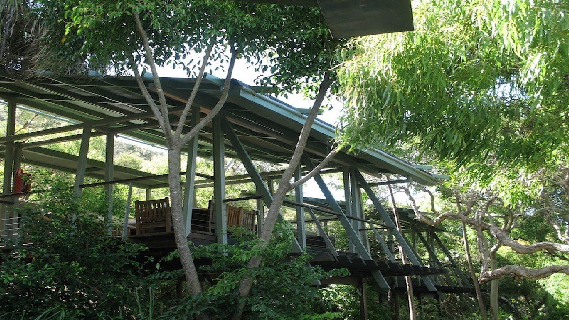 A treehouse with a metal framework, wooden deck, and surrounding foliage.