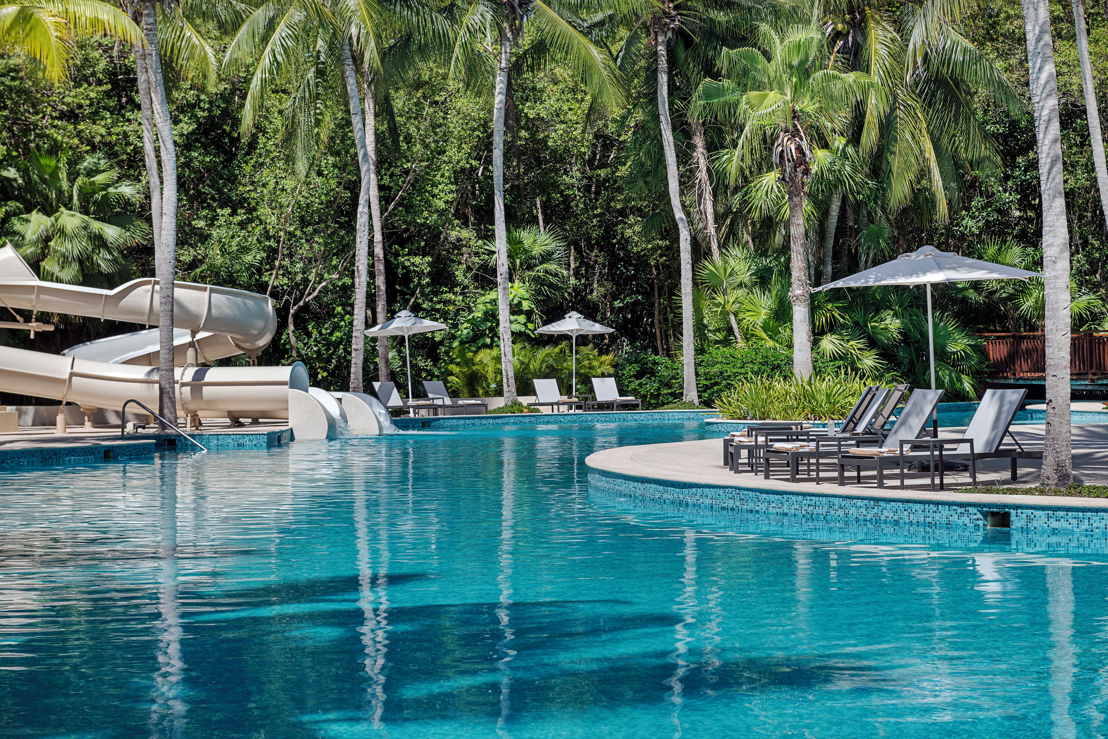 A clear blue pool with lounge chairs and umbrellas, surrounded by palm trees.
