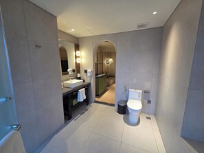 Un baño moderno con un espejo grande, un lavabo, un inodoro y una zona de ducha.