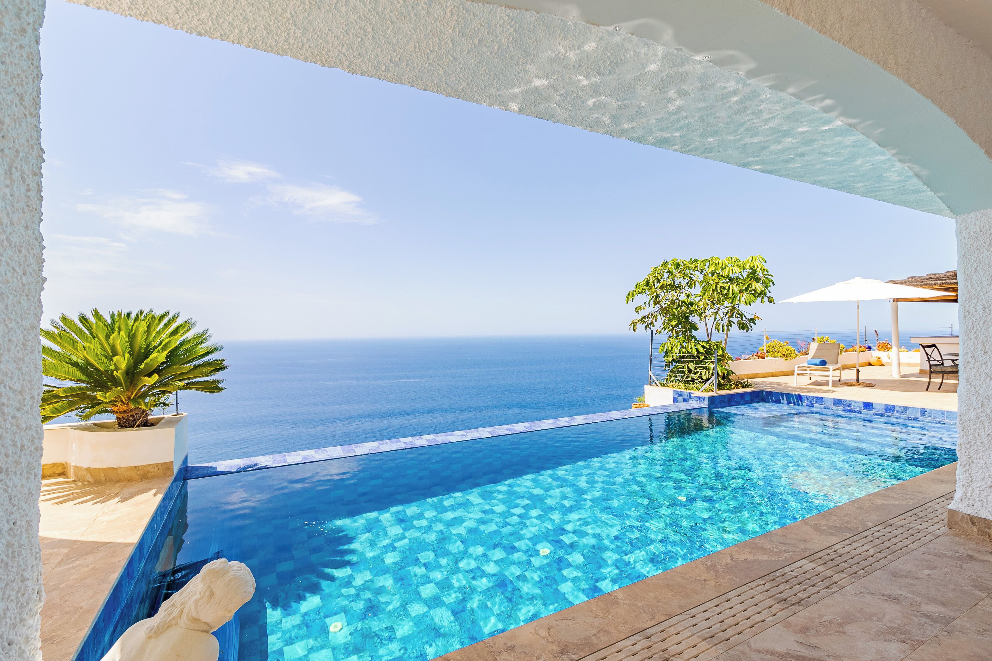 An infinity pool with clear blue water, a view of the sea, and a palm tree.