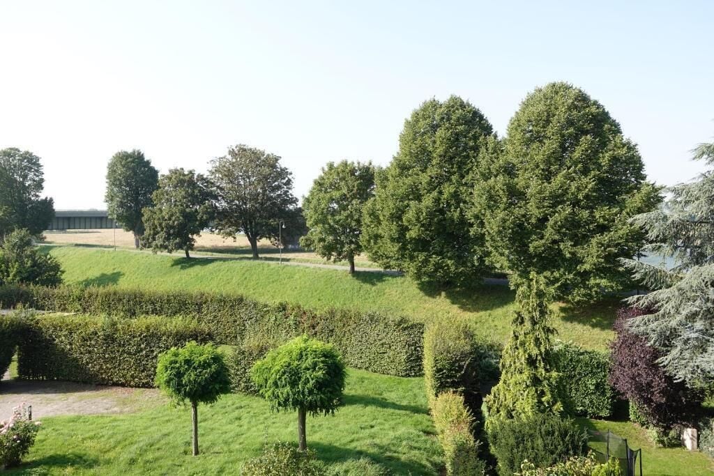 Ein angelegter Garten mit verschiedenen Bäumen und Sträuchern, einem klaren Himmel und einer entfernten Wasseransicht.