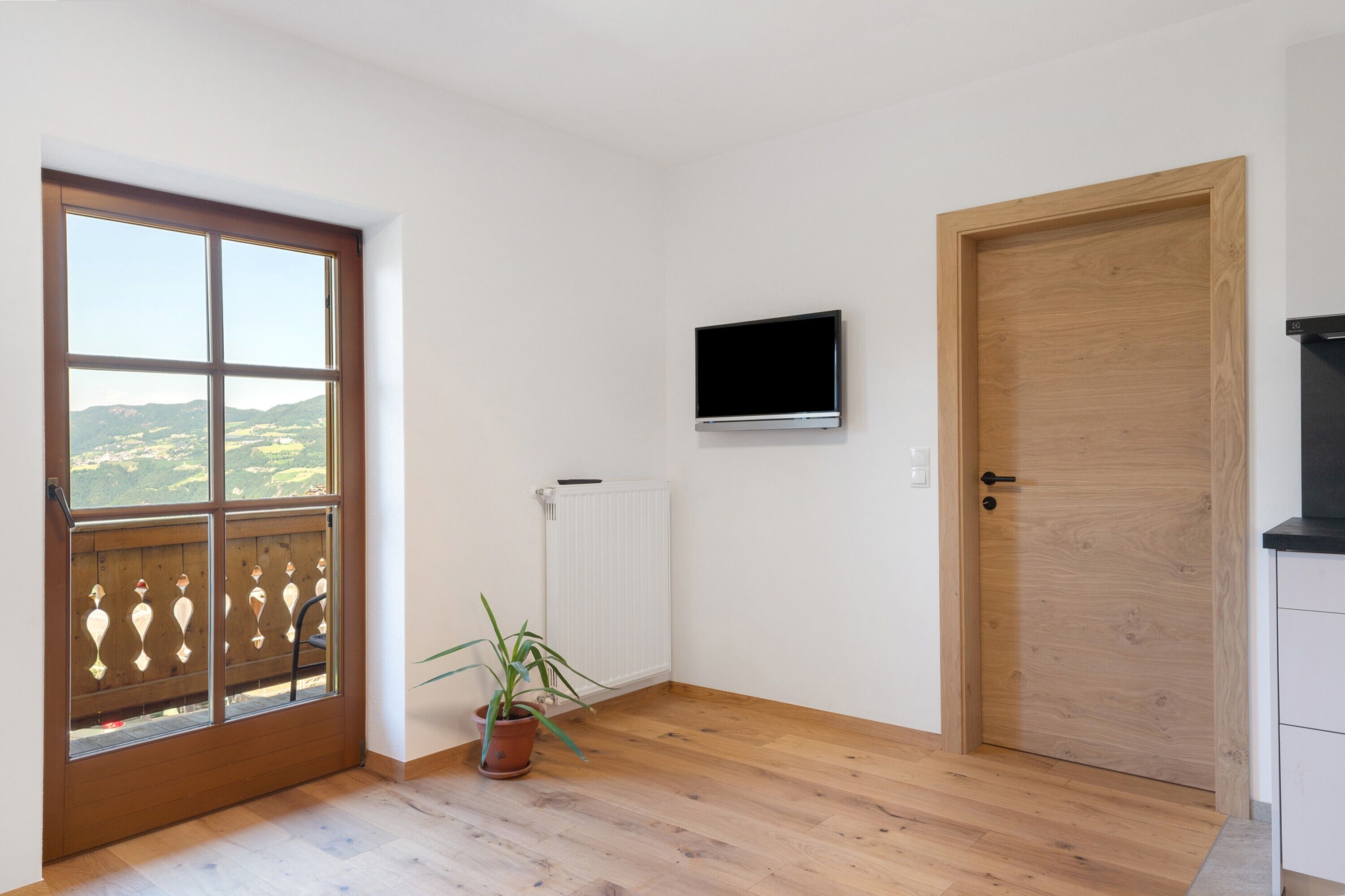 Une pièce avec un plancher en bois, une porte-fenêtre coulissante, une plante en pot, un radiateur blanc, une porte en bois et un téléviseur fixé au mur.