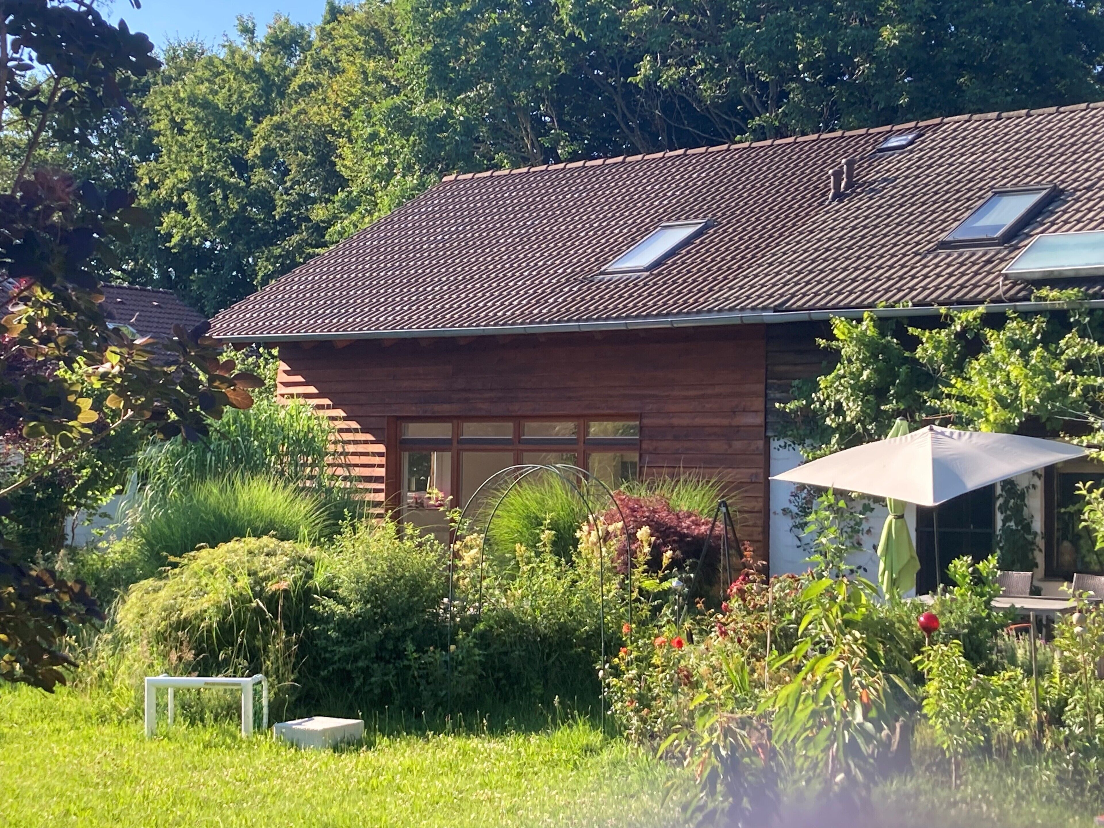 Une maison moderne avec un toit en pente, de grandes fenêtres et un jardin agrémenté de diverses plantes et d’une table.