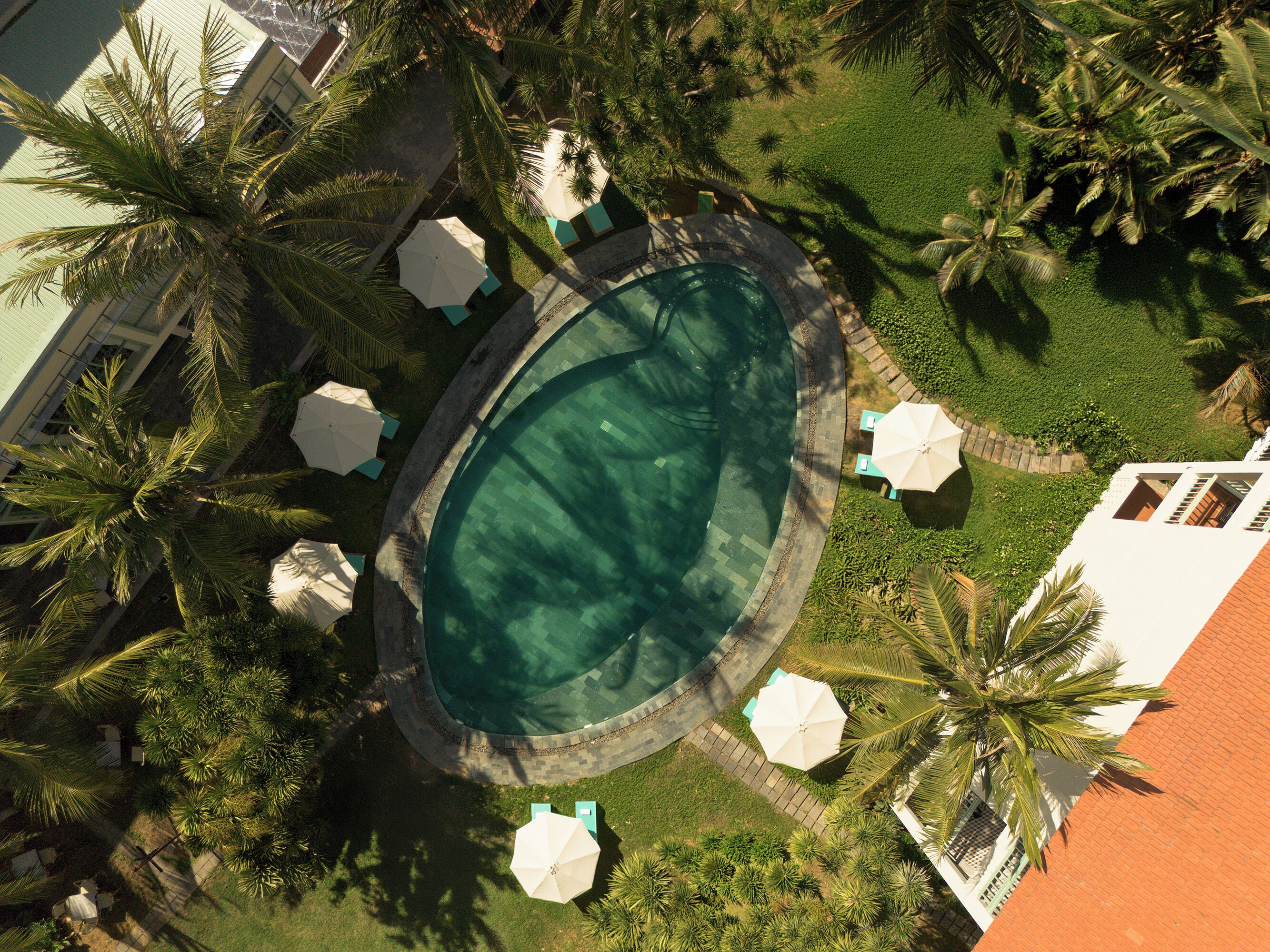 An aerial view of a swimming pool surrounded by palm trees and umbrellas, with a paved walkway and a building in the background.