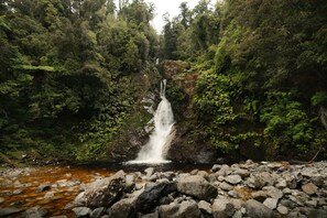 Una cascada en un área boscosa con un primer plano rocoso.