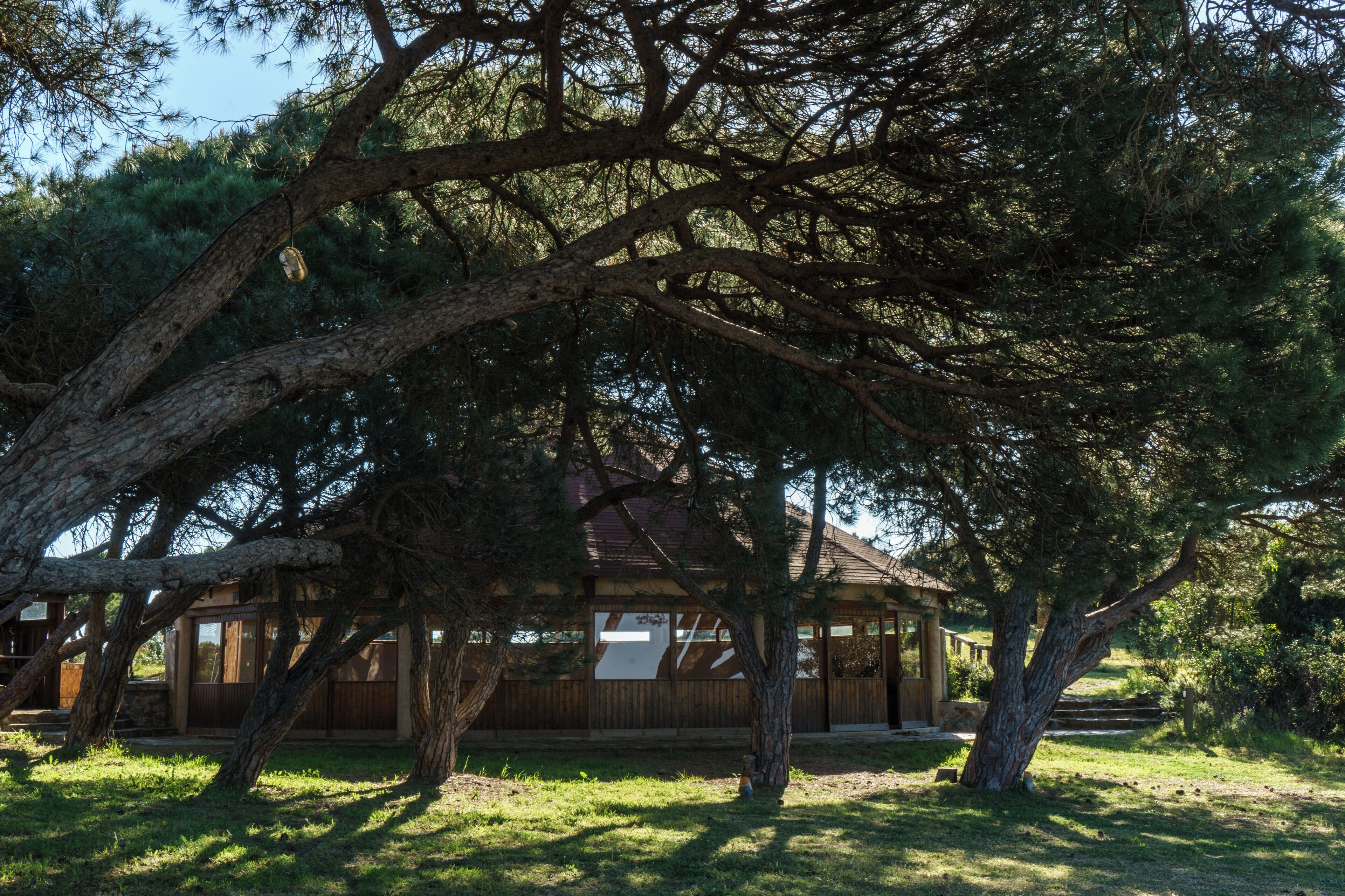 A rustic cabin with a wooden exterior, surrounded by large trees and a grassy yard.