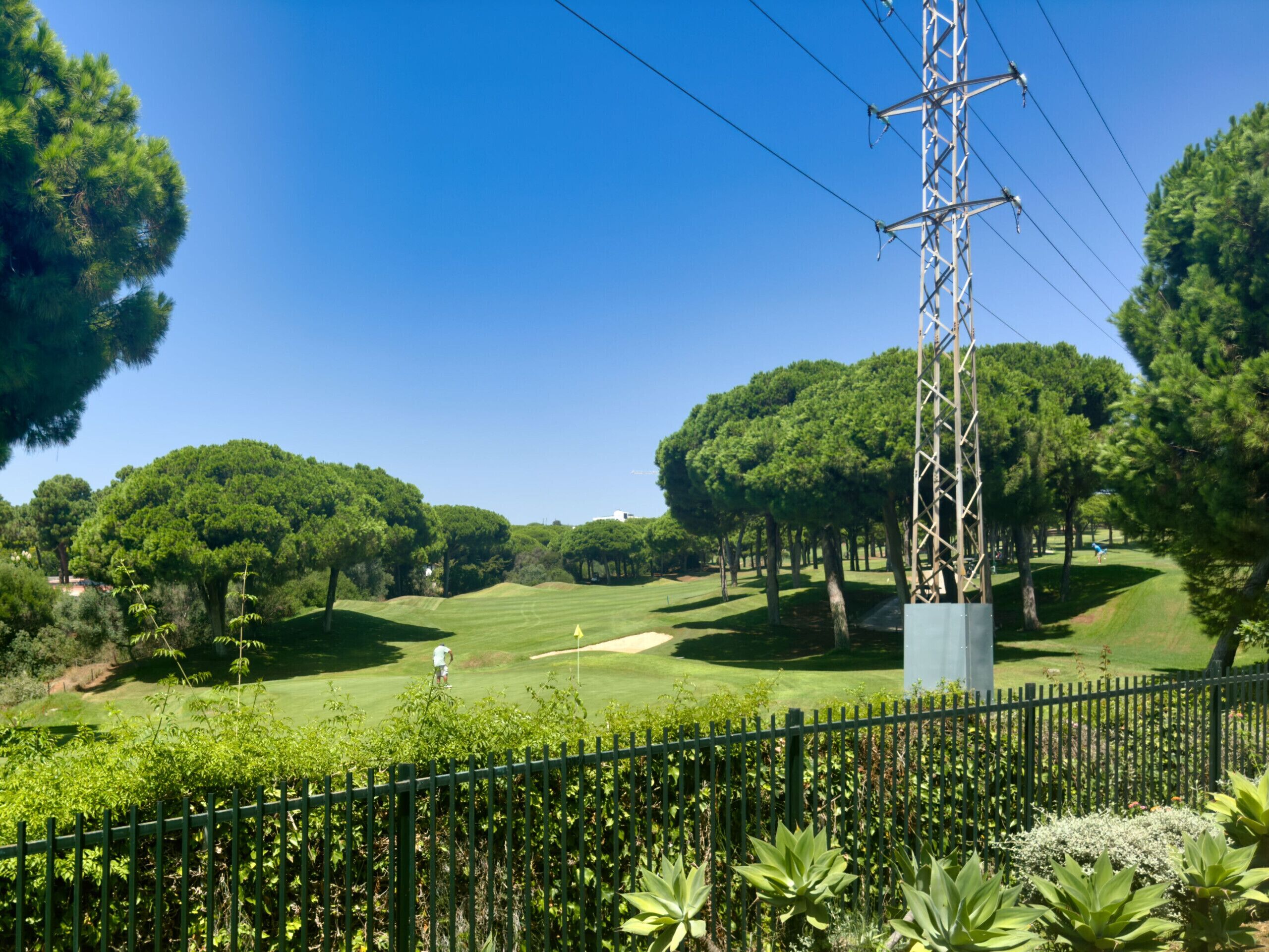 Un terrain de golf sous un ciel dégagé, entouré d’arbres verdoyants et luxuriants, avec un poteau métallique servant de support pour les lignes électriques.