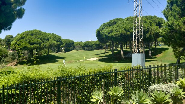 Ein Golfplatz mit blauem Himmel, umgeben von üppigem Grün und einem Metallmast.