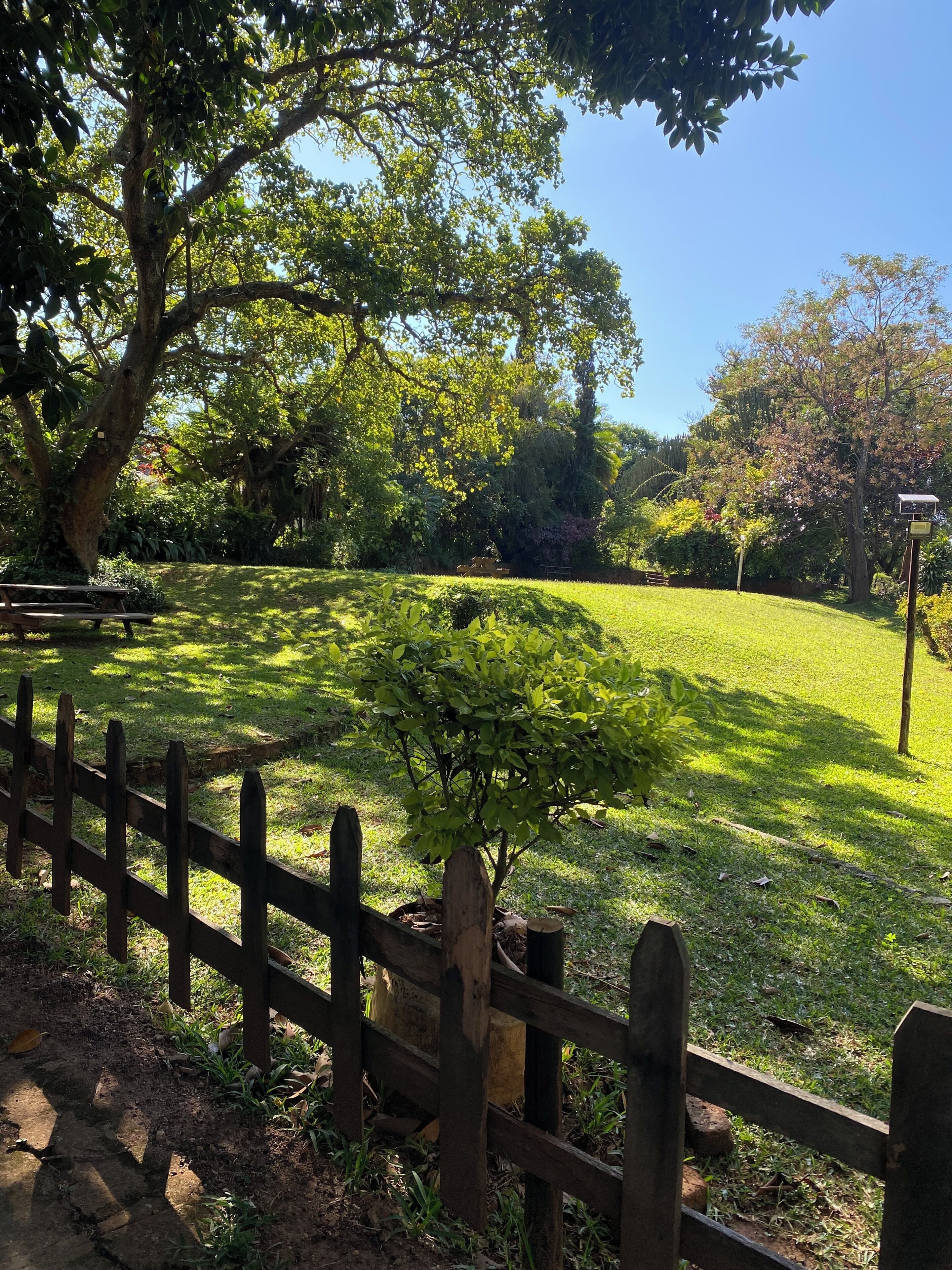 Jardín