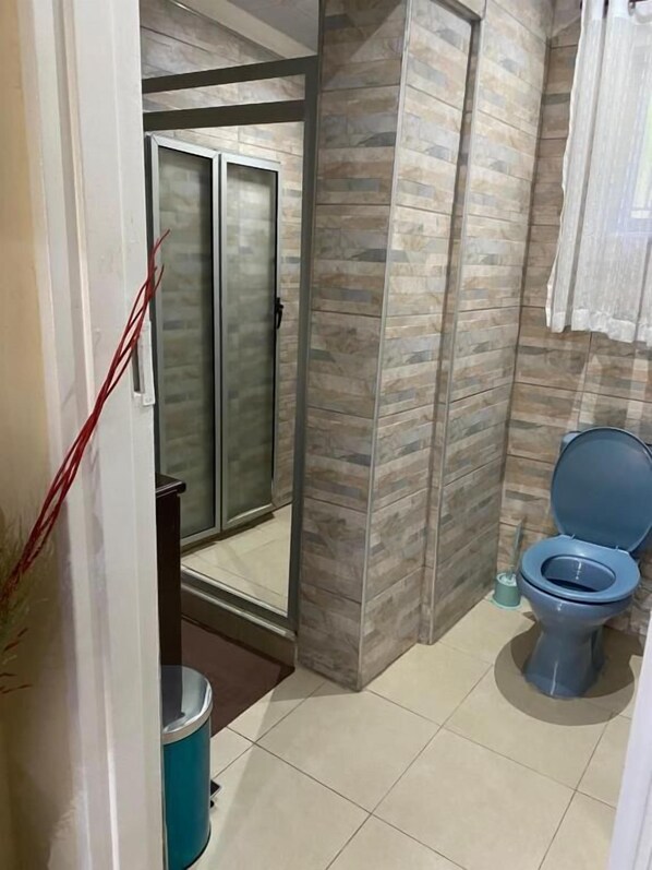 A bathroom with a toilet, a shower, and a glass door leading to another room.