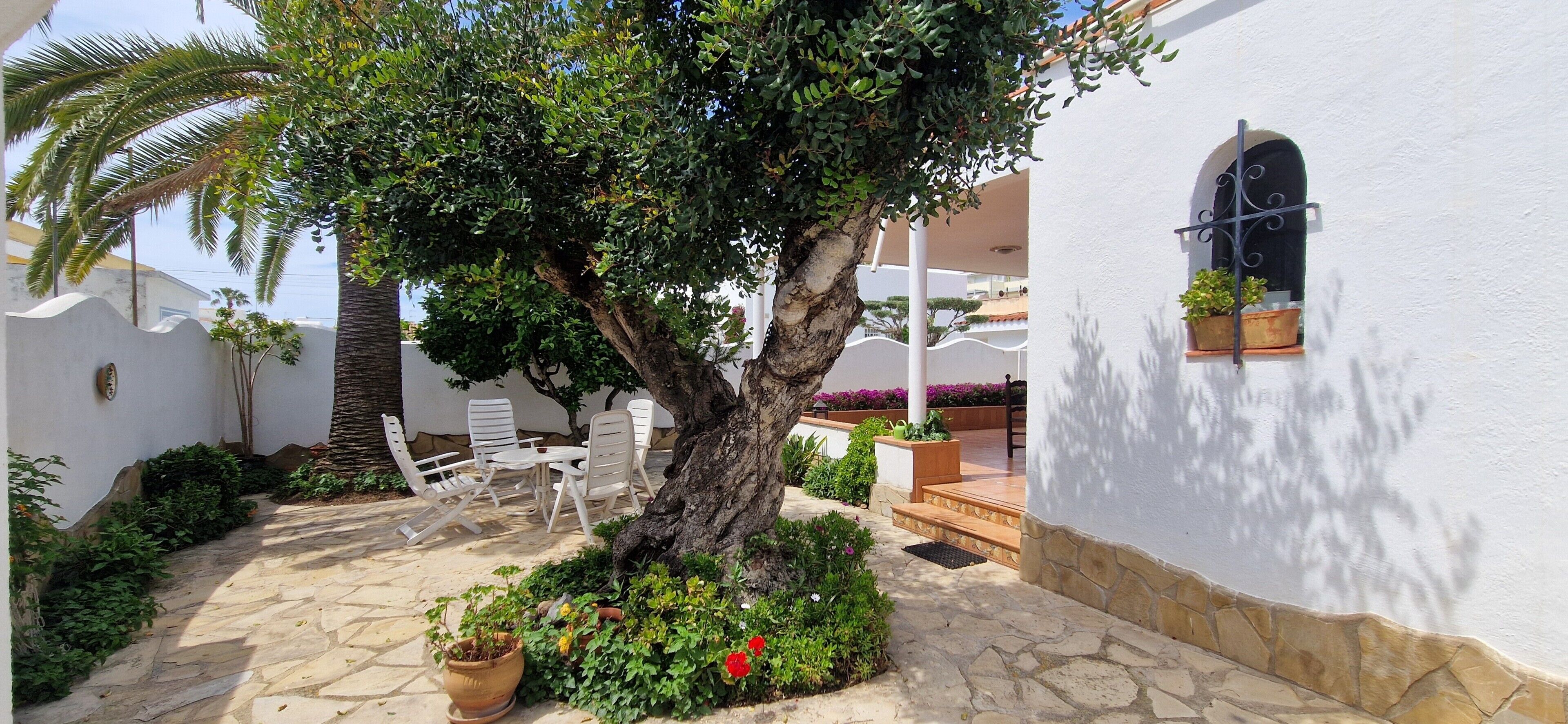 A courtyard with a tree, potted plants, and outdoor furniture.