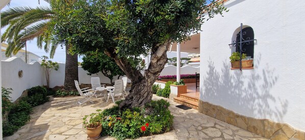 Un patio con un árbol, plantas en macetas y mobiliario exterior.